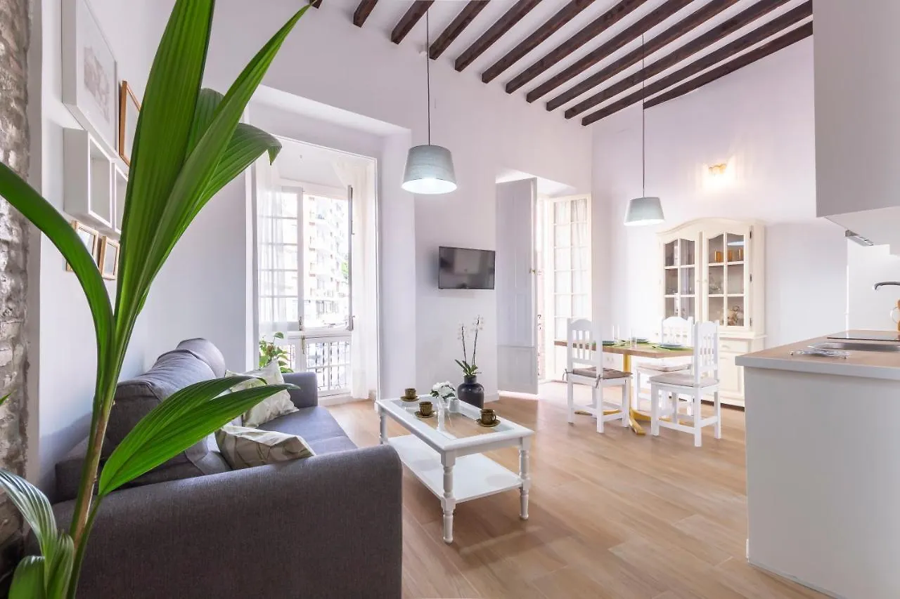 Apartamento Buganvilla Málaga 0*,